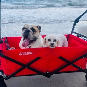 Meet your Posher, Darla